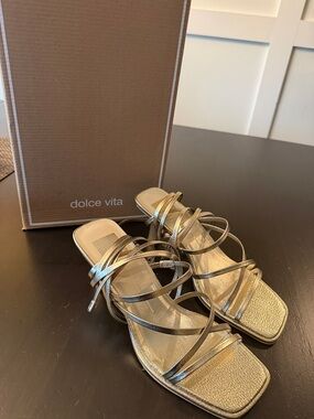 Dolce Vita Platinum Ankle Wrap Heel